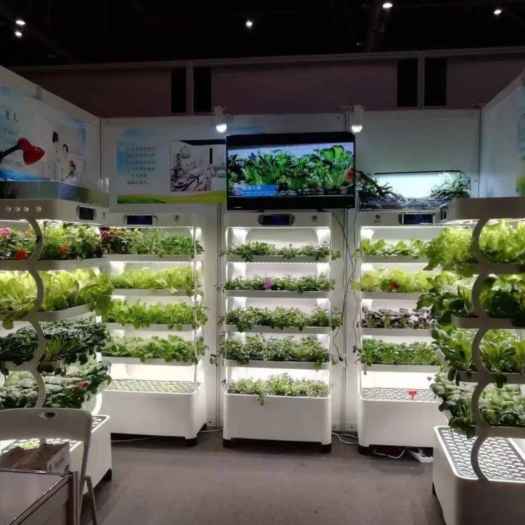 Intelligent Hydroponic Growing - Smart Home Uses ulasan dan harga