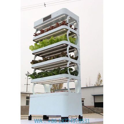 arming Home Hydroponic Growing - Smart Home Uses ulasan dan harga