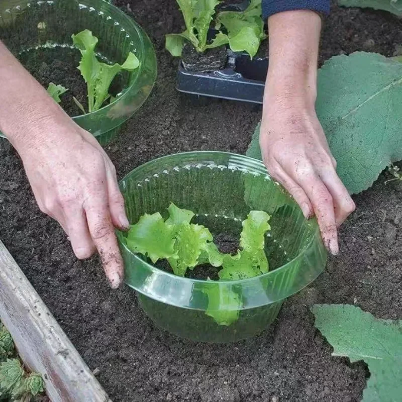 Plants Slug Protection Rings V - Smart Home Green ulasan dan harga