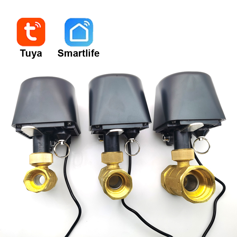 Tuya WiFi or Zigbee Water Valv - Smart Home Green ulasan dan harga